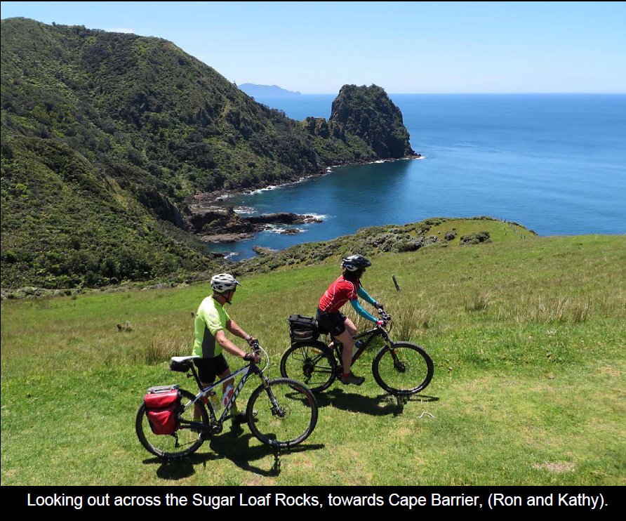 coro201518.jpg (239241 bytes)